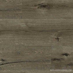 Beaulieu Canada Rapido Lucca